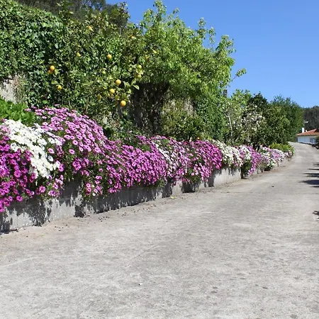 Casa Da Cerca * Fornelo